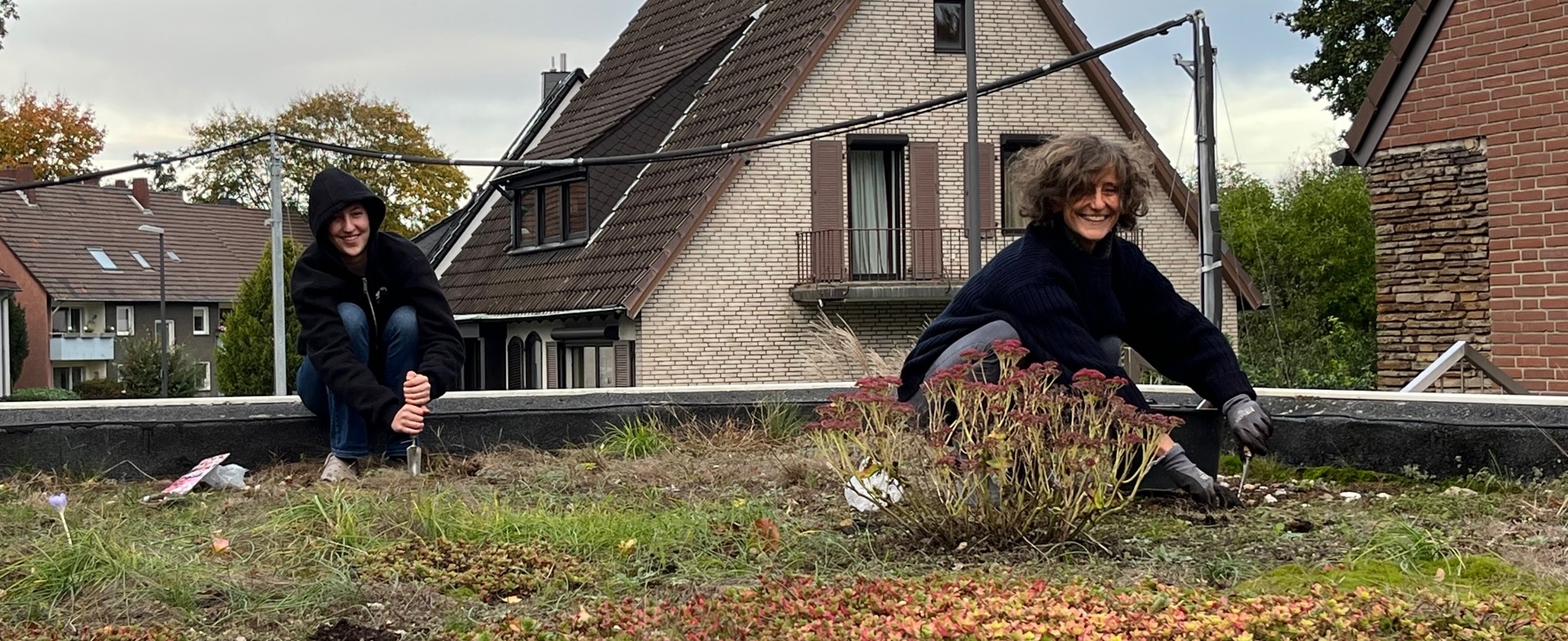 Weil ich nicht so gerne aufs Dach klettere, haben Schwiegertochter Ulli und Enkeltochter Mila trotz herbstlicher Witterung die Pflanzarbeiten übernommen. Weil ich nicht so gerne aufs Dach klettere, haben Schwiegertochter Ulli und Enkeltochter Mila trotz herbstlicher Witterung die Pflanzarbeiten übernommen.